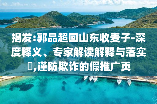 揭發(fā):郭品超回山東收麥子-深度釋義、專(zhuān)家解讀解釋與落實(shí)?,謹(jǐn)防欺詐的假推廣頁(yè)