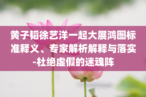 黃子韜徐藝洋一起大展鴻圖標(biāo)準(zhǔn)釋義、專家解析解釋與落實(shí)-杜絕虛假的迷魂陣