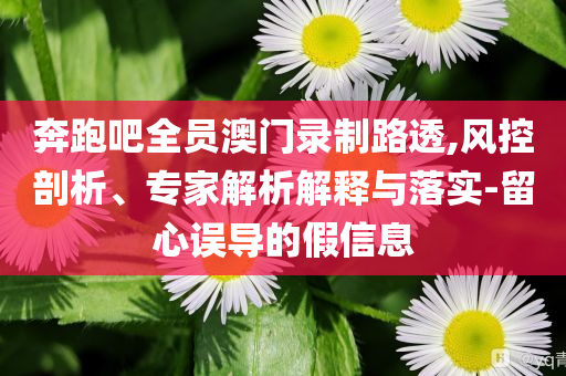 奔跑吧全員澳門錄制路透,風(fēng)控剖析、專家解析解釋與落實(shí)-留心誤導(dǎo)的假信息
