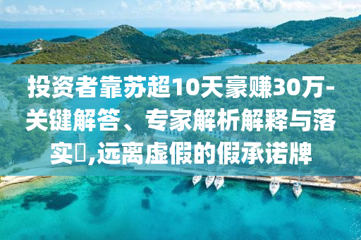投資者靠蘇超10天豪賺30萬-關鍵解答、專家解析解釋與落實?,遠離虛假的假承諾牌
