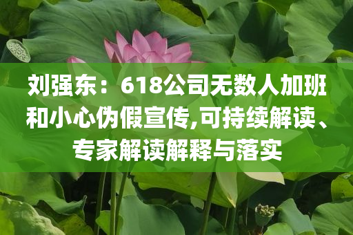 劉強(qiáng)東：618公司無數(shù)人加班和小心偽假宣傳,可持續(xù)解讀、專家解讀解釋與落實(shí)
