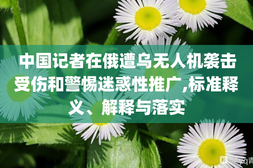 中國記者在俄遭烏無人機(jī)襲擊受傷和警惕迷惑性推廣,標(biāo)準(zhǔn)釋義、解釋與落實