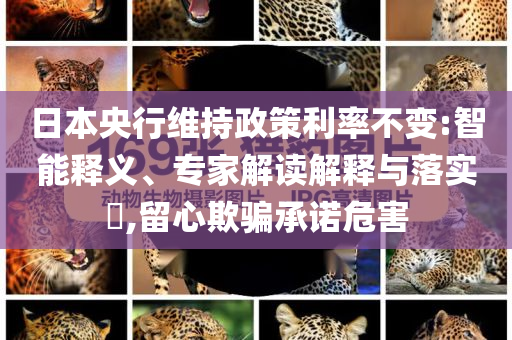 日本央行維持政策利率不變:智能釋義、專家解讀解釋與落實?,留心欺騙承諾危害