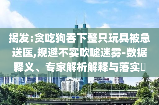 揭發(fā):貪吃狗吞下整只玩具被急送醫(yī),規(guī)避不實吹噓迷霧-數(shù)據(jù)釋義、專家解析解釋與落實?