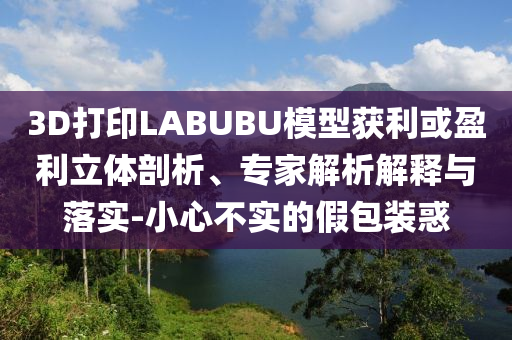 3D打印LABUBU模型獲利或盈利立體剖析、專家解析解釋與落實(shí)-小心不實(shí)的假包裝惑