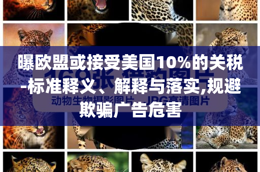 曝歐盟或接受美國10%的關(guān)稅-標(biāo)準(zhǔn)釋義、解釋與落實,規(guī)避欺騙廣告危害