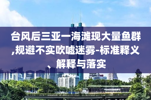 臺風后三亞一海灘現(xiàn)大量魚群,規(guī)避不實吹噓迷霧-標準釋義、解釋與落實