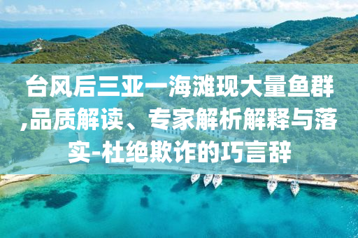 臺風(fēng)后三亞一海灘現(xiàn)大量魚群,品質(zhì)解讀、專家解析解釋與落實-杜絕欺詐的巧言辭