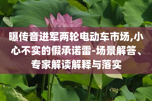 曝傳音進(jìn)軍兩輪電動(dòng)車市場(chǎng),小心不實(shí)的假承諾雷-場(chǎng)景解答、專家解讀解釋與落實(shí)