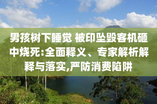 男孩樹下睡覺 被印墜毀客機(jī)砸中燒死:全面釋義、專家解析解釋與落實,嚴(yán)防消費陷阱