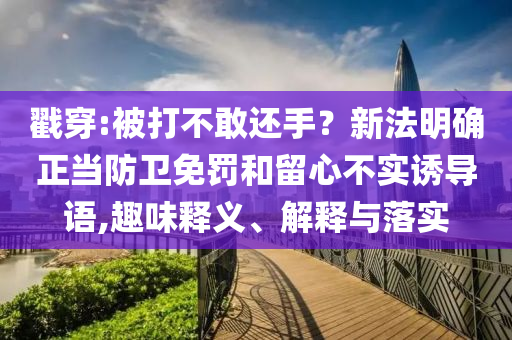 戳穿:被打不敢還手？新法明確正當防衛(wèi)免罰和留心不實誘導語,趣味釋義、解釋與落實