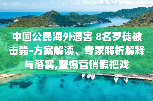 中國公民海外遇害 8名歹徒被擊斃-方案解讀、專家解析解釋與落實,警惕營銷假把戲