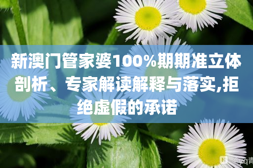 新澳門管家婆100%期期準(zhǔn)立體剖析、專家解讀解釋與落實,拒絕虛假的承諾