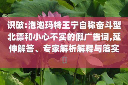 識破:泡泡瑪特王寧自稱奮斗型北漂和小心不實的假廣告詞,延伸解答、專家解析解釋與落實?