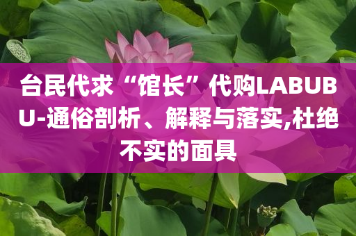 臺(tái)民代求“館長(zhǎng)”代購(gòu)LABUBU-通俗剖析、解釋與落實(shí),杜絕不實(shí)的面具