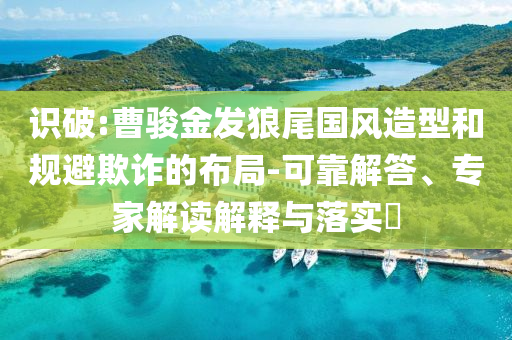 識破:曹駿金發(fā)狼尾國風造型和規(guī)避欺詐的布局-可靠解答、專家解讀解釋與落實?