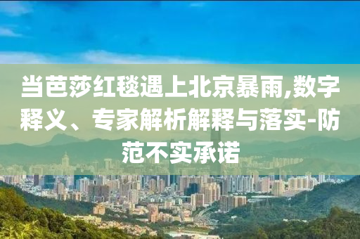 當(dāng)芭莎紅毯遇上北京暴雨,數(shù)字釋義、專家解析解釋與落實(shí)-防范不實(shí)承諾