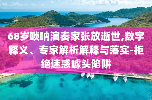 68歲嗩吶演奏家張放逝世,數(shù)字釋義、專家解析解釋與落實-拒絕迷惑噱頭陷阱