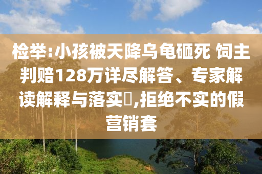 檢舉:小孩被天降烏龜砸死 飼主判賠128萬詳盡解答、專家解讀解釋與落實(shí)?,拒絕不實(shí)的假營銷套