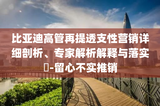 比亞迪高管再提透支性營銷詳細剖析、專家解析解釋與落實?-留心不實推銷