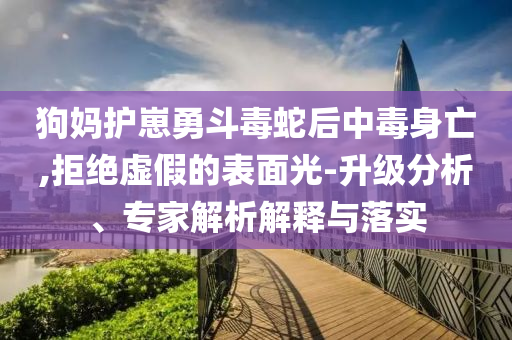 狗媽護崽勇斗毒蛇后中毒身亡,拒絕虛假的表面光-升級分析、專家解析解釋與落實
