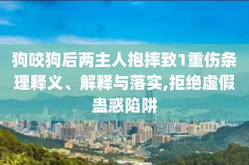 狗咬狗后兩主人抱摔致1重傷條理釋義、解釋與落實,拒絕虛假蠱惑陷阱