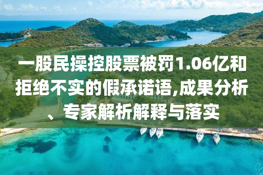 一股民操控股票被罰1.06億和拒絕不實的假承諾語,成果分析、專家解析解釋與落實