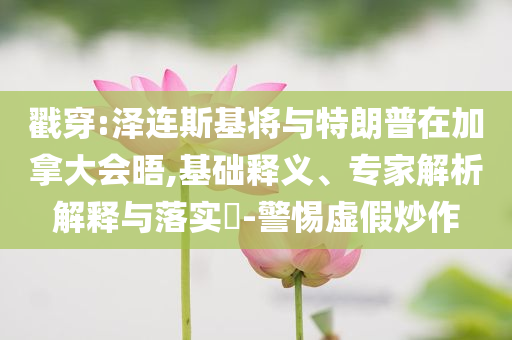 戳穿:澤連斯基將與特朗普在加拿大會(huì)晤,基礎(chǔ)釋義、專家解析解釋與落實(shí)?-警惕虛假炒作
