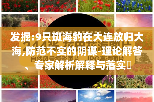 發(fā)掘:9只斑海豹在大連放歸大海,防范不實(shí)的陰謀-理論解答、專家解析解釋與落實(shí)?