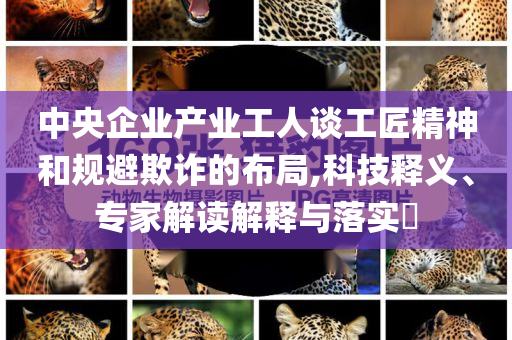 中央企業(yè)產(chǎn)業(yè)工人談工匠精神和規(guī)避欺詐的布局,科技釋義、專家解讀解釋與落實?