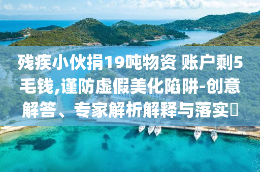 殘疾小伙捐19噸物資 賬戶(hù)剩5毛錢(qián),謹(jǐn)防虛假美化陷阱-創(chuàng)意解答、專(zhuān)家解析解釋與落實(shí)?