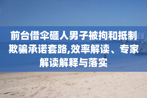 前臺借傘砸人男子被拘和抵制欺騙承諾套路,效率解讀、專家解讀解釋與落實