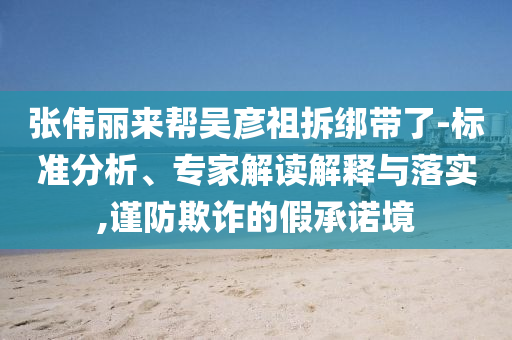 張偉麗來幫吳彥祖拆綁帶了-標(biāo)準(zhǔn)分析、專家解讀解釋與落實,謹(jǐn)防欺詐的假承諾境