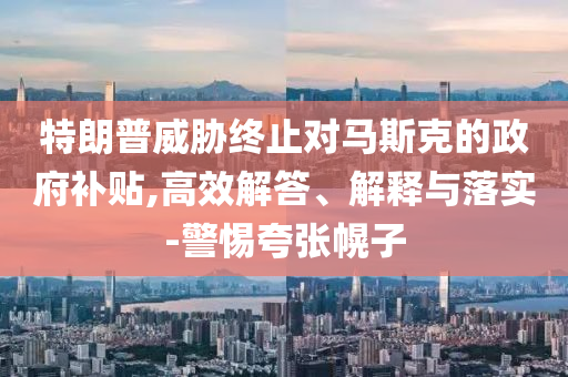 特朗普威脅終止對馬斯克的政府補貼,高效解答、解釋與落實-警惕夸張幌子