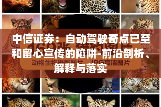中信證券：自動(dòng)駕駛奇點(diǎn)已至和留心宣傳的陷阱-前沿剖析、解釋與落實(shí)