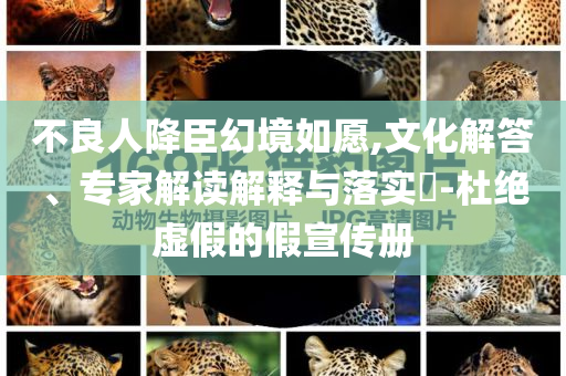 不良人降臣幻境如愿,文化解答、專家解讀解釋與落實?-杜絕虛假的假宣傳冊