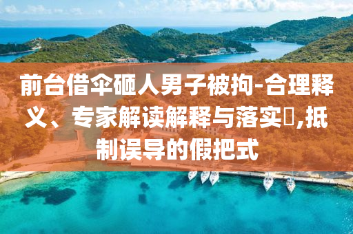 前臺(tái)借傘砸人男子被拘-合理釋義、專家解讀解釋與落實(shí)?,抵制誤導(dǎo)的假把式