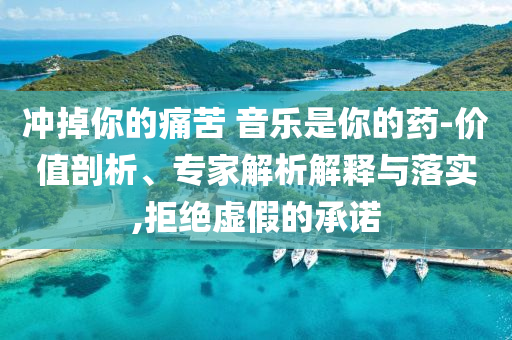 沖掉你的痛苦 音樂是你的藥-價(jià)值剖析、專家解析解釋與落實(shí),拒絕虛假的承諾