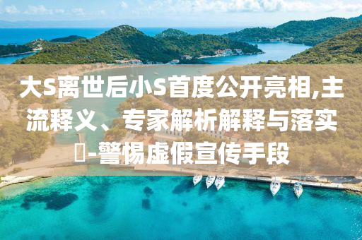 大S離世后小S首度公開(kāi)亮相,主流釋義、專家解析解釋與落實(shí)?-警惕虛假宣傳手段