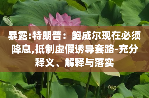暴露:特朗普：鮑威爾現(xiàn)在必須降息,抵制虛假誘導(dǎo)套路-充分釋義、解釋與落實(shí)