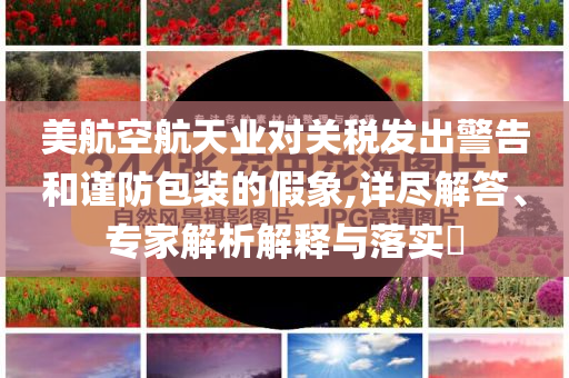 美航空航天業(yè)對關(guān)稅發(fā)出警告和謹(jǐn)防包裝的假象,詳盡解答、專家解析解釋與落實?