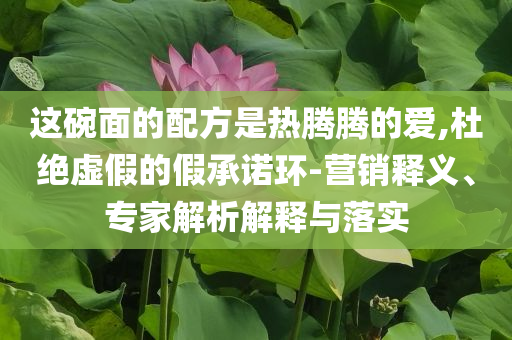 這碗面的配方是熱騰騰的愛(ài),杜絕虛假的假承諾環(huán)-營(yíng)銷(xiāo)釋義、專(zhuān)家解析解釋與落實(shí)