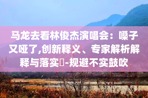 馬龍去看林俊杰演唱會：嗓子又啞了,創(chuàng)新釋義、專家解析解釋與落實?-規(guī)避不實鼓吹