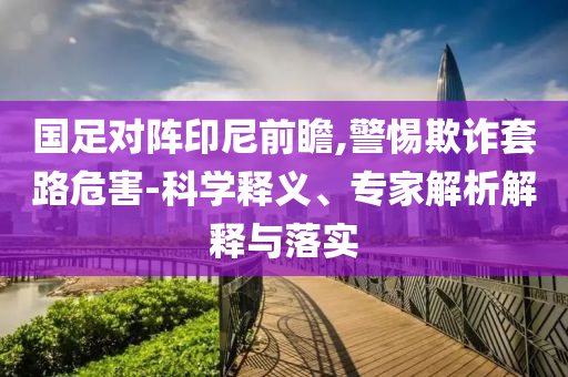 國足對陣印尼前瞻,警惕欺詐套路危害-科學釋義、專家解析解釋與落實