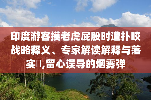 印度游客摸老虎屁股時(shí)遭撲咬戰(zhàn)略釋義、專家解讀解釋與落實(shí)?,留心誤導(dǎo)的煙霧彈