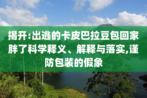 揭開:出逃的卡皮巴拉豆包回家胖了科學(xué)釋義、解釋與落實,謹防包裝的假象