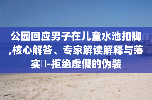 公園回應(yīng)男子在兒童水池扣腳,核心解答、專家解讀解釋與落實(shí)?-拒絕虛假的偽裝