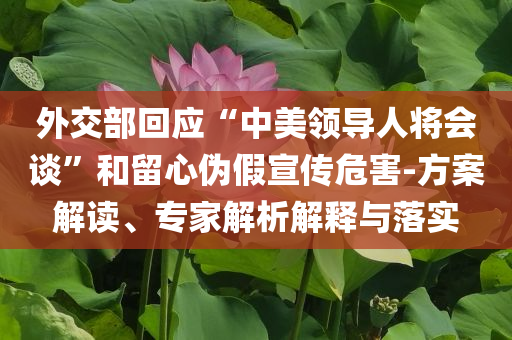 外交部回應(yīng)“中美領(lǐng)導(dǎo)人將會談”和留心偽假宣傳危害-方案解讀、專家解析解釋與落實