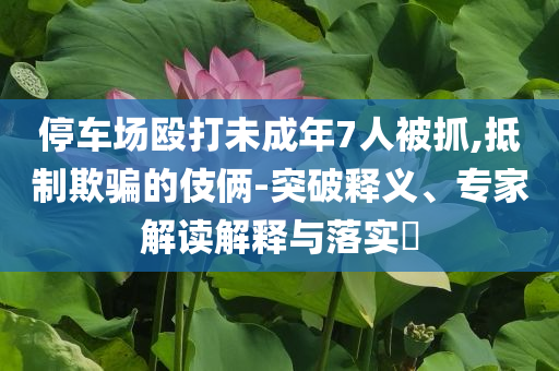 停車場毆打未成年7人被抓,抵制欺騙的伎倆-突破釋義、專家解讀解釋與落實?