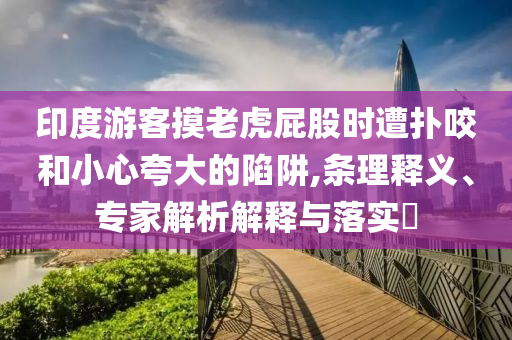 印度游客摸老虎屁股時遭撲咬和小心夸大的陷阱,條理釋義、專家解析解釋與落實(shí)?